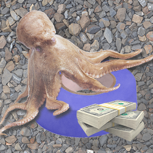 fffogil's profile picture. Квадратирую квадраты