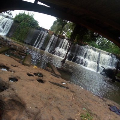 day_vid_s's profile picture. 