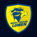 Rhein-Neckar Löwen (@RNLoewen) Twitter profile photo