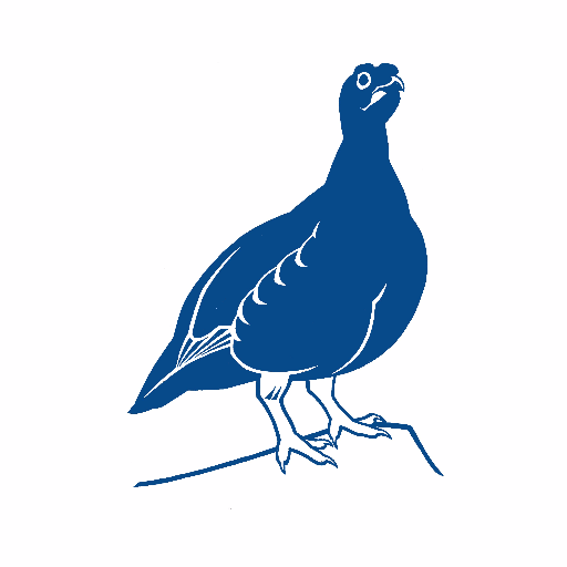 britishbirds Profile Picture