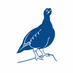 British Birds (@britishbirds) Twitter profile photo British Birds (@britishbirds) Twitter profile photo
