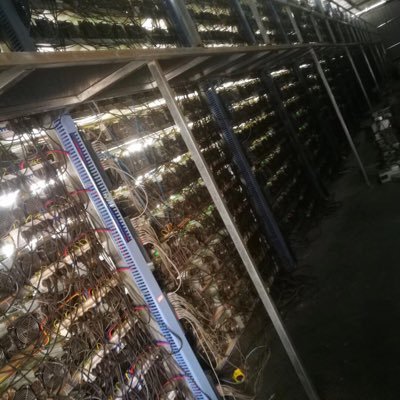 MrDavid53559938's profile picture. Hodler