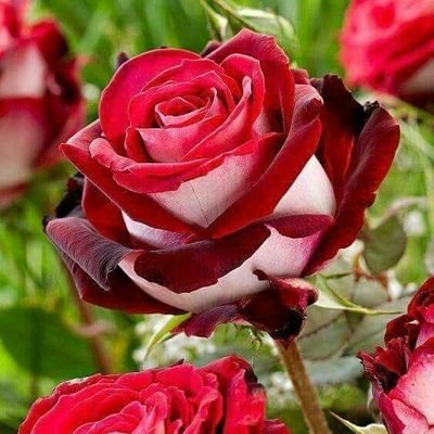 ben enterasan diğer hesabım mesaj atamıyorum diğer hesabım buydu @kaanhakan0707