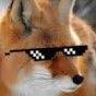 Fox61Nice's profile picture. Eu gosto de raposas.