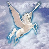 الشريف (@alsharef000000) 's Twitter Profile