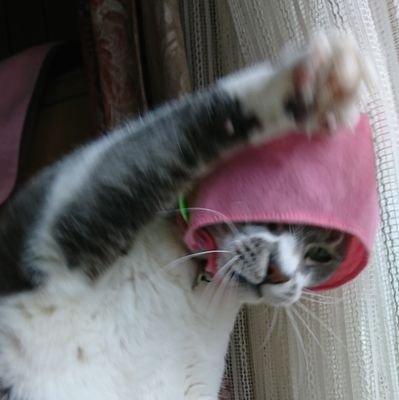 zDZa9DPVp6oQJRj's profile picture. BSR/ダテサナ･獅子幸
ぺご/主明
船👑👑/💙❤️･🤍❤･兄弟
腐った成人済FGOもやってます。BLGLNL何でも好きです。裏垢→ @fxjTmBNrPfjcD1q