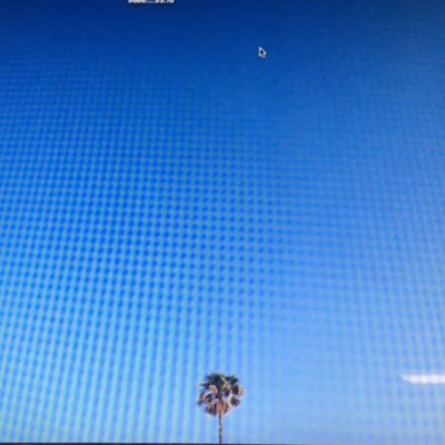 Curator 🌴Art+Tech+Humans🌴 〰️
I am mostly here for new updates: substack (at) marialauraghidini