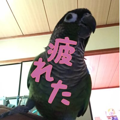 空峯沙唯@sing!!さんのプロフィール画像