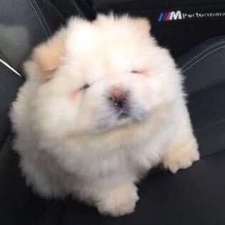 พักก่อนนะครับพ้ม
