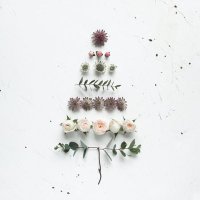 Newpiney (@newpiney) 's Twitter Profile Photo Newpiney (@newpiney) 's Twitter Profile Photo