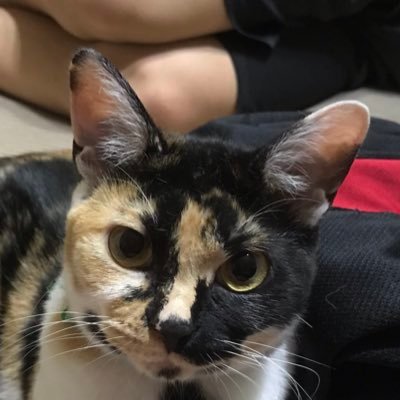 おにぃ Onikouji1970 Twitter