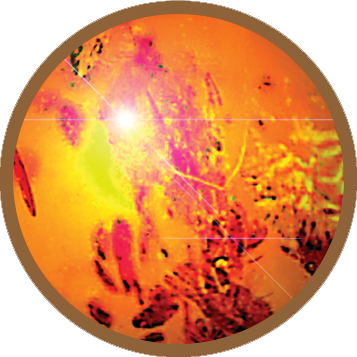 pinewoodhotel's profile picture. Boutique Hotel & Wedding Venue in South Bucks. Restaurant, Bar, Conferences, Events & Christmas.01753 896400