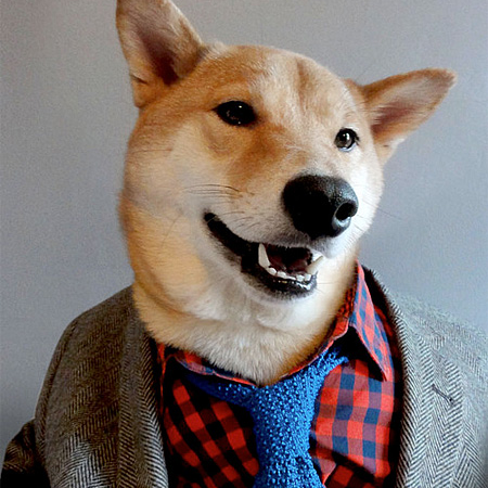 WaveringEli's profile picture. 