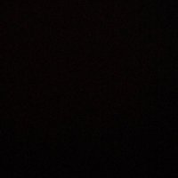 a14bear (@a14bear) 's Twitter Profile
