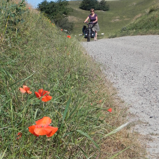 voyages #cyclocamping #Écosse #Danemark #Suède #Norvège Contribue #Wikipédia #WikiCycloPays Vélo quotidien #Lorient En pause voyages vélo #chimio #cancer