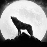 028多巴胺 (@jameswoney) 's Twitter Profile