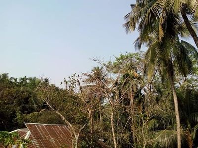 rupom72951's profile picture. আজ আর পিচু পিরে তাকাইনা তোমার আশায়