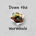 Down the Wormhole (@DownWormhole) Twitter profile photo