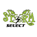 STORM SELECT LACROSSE (@stormselectlax) Twitter profile photo STORM SELECT LACROSSE (@stormselectlax) Twitter profile photo