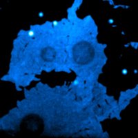 Miguel Paez Perez (@miguelpaezperez) 's Twitter Profile
