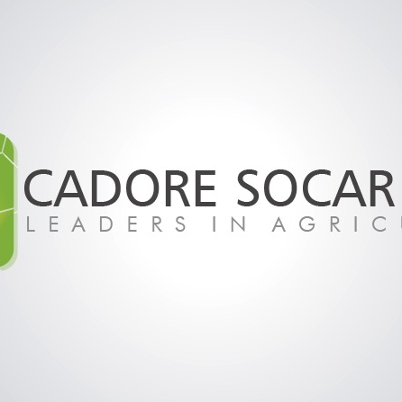 Cadore Socar LLC ®