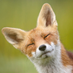 Bany (@banyuls_) Twitter profile photo Bany (@banyuls_) Twitter profile photo
