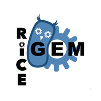 Rice University iGEM (@rice_igem) 's Twitter Profile