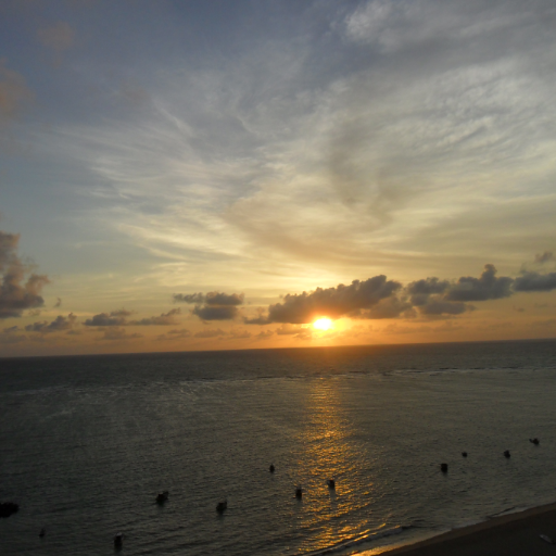 Petcraziness's profile picture. ☮️