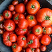 Garden The Grid (@gardenthegrid) 's Twitter Profile