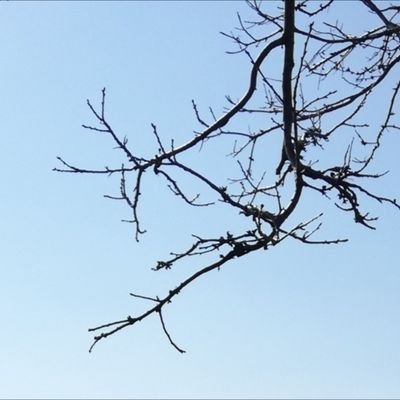 afarfalle's profile picture. M'illumino e condenso.