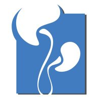RAEU - Spanish Urology Residents Working Group (@residentesaeu) 's Twitter Profile Photo RAEU - Spanish Urology Residents Working Group (@residentesaeu) 's Twitter Profile Photo