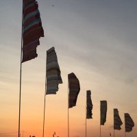 vici thomas (@thomas_vici) 's Twitter Profile