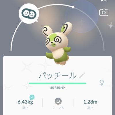 ラッコスキー ポケモンgo専用 Go Twitter