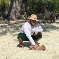 David Pope (@davidpo90512117) 's Twitter Profile