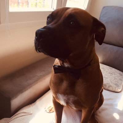 PabloUltralores's profile picture. Español,madrileño y madridista. Dios con nosotros.A mi no me mires nena yo voté a Kodos