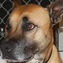 steve cann - @canndo - Twitter