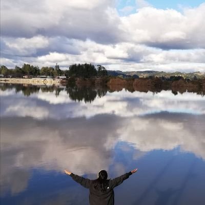 Madre, Relacionadora Pública Profesional Mapuche, diregenta social