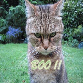 cganim's profile picture. I LOVE ANIMATION , Animation is my passion ......nara...:]]