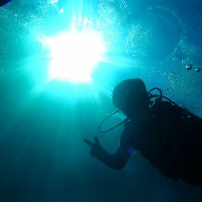 ホロライブ⚓️/さくなだふぁみりあ/デュエマ/弐寺SP6段/太鼓虹色8段/ウニ16.80ぐらい/ユメステ/ベイブレードx