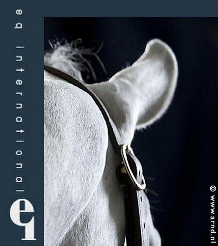 EQ International is gespecialiseerd in de organisatie, realisatie, ondersteuning en concept-ontwikkeling van hippische evenementen en projecten.