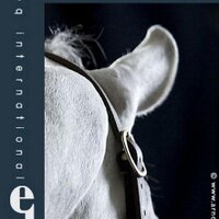 EQ International (@eqinternational) 's Twitter Profile