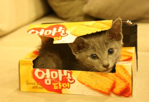 dream_hero's profile picture. with you&believe you!!