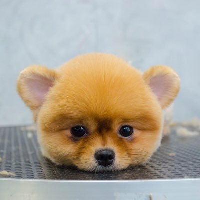 Baitoeyhom's profile picture. 