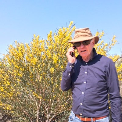 Michael27999203's profile picture. 