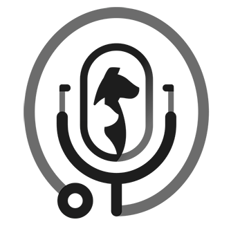 VetInnPodcast Profile Picture