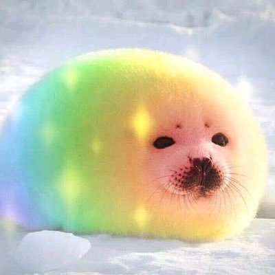 kakan_TUS_2C's profile picture. 