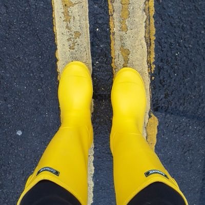 tammyw74's profile picture. 