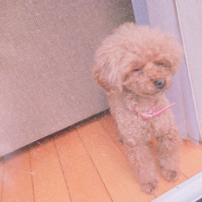 cmPnss8GLqMB7qe's profile picture. 