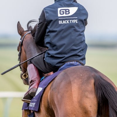 Racehorse Trainer in Newmarket | @gbougheyracing
