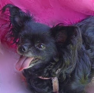 Spain9202's profile picture. 